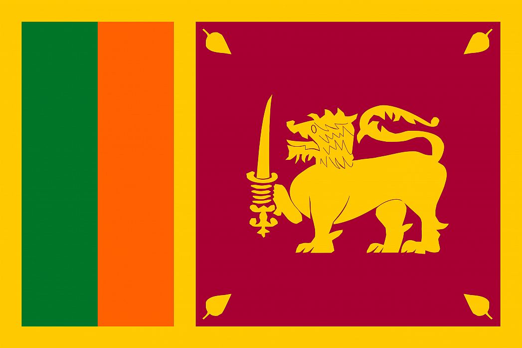 श्रीलङ्कामा पेट्रोल तथा डिजलको अभाव
